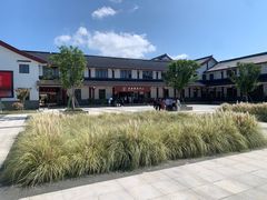 -漩门湾国家湿地公园