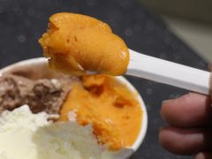 -Dip in Gelato(富民路店)