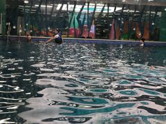 -Swim斯卫姆国际儿童游泳中心(红博中央公园店)