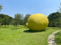 -顺峰山公园