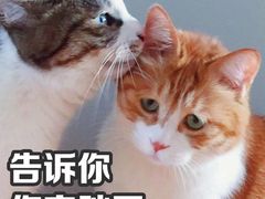 -萨莉亚意式餐厅(金隅嘉品mall店)