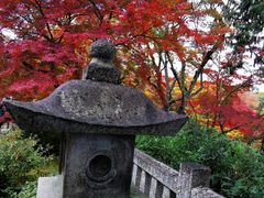 -常寂光寺