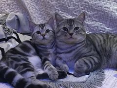 -惠康宠物医院(华能路店)