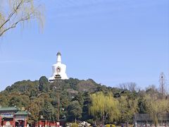-麦当劳(新王府井店)