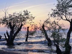 -捞渔河湿地公园