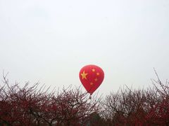 -秀丽东方