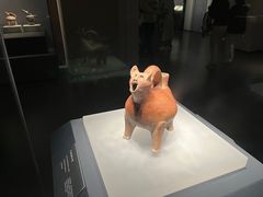 -山东博物馆