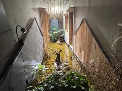 -邈墨茶馆(凤起路店)