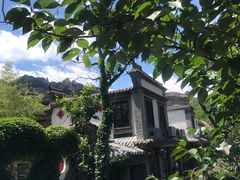 -老张烤羊(王哥庄店)