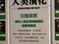 -烟台自然博物馆