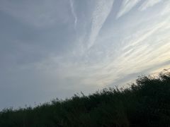 -白洋淀景区