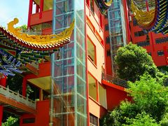 -东莞市大岭山森林公园