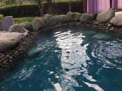 -咸宁万豪温泉谷度假区