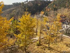 -遵化市禅林寺古银杏风景园