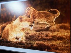 -罗红摄影艺术馆