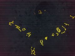 景点-卧龙岗文化园-南阳市汉画馆