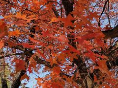 -长辛店二七公园