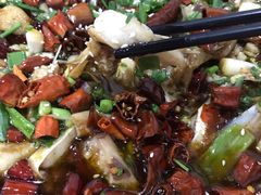 -东吴霸王兔(松青路店)