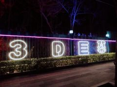 -枫花园汽车电影院(朝阳公园店)