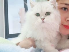 -大洋晶典(东街店)