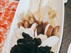 -蒙都43°9羊火锅(平庄店)