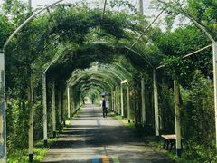 -上海长兴岛郊野公园