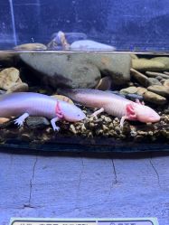 -Zoolung Zoolung动物主题公园(海信广场店)