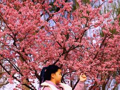 -燕郊植物园