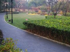 -徐家汇源景区-衡山公园