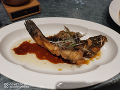 -望乡楼上海菜(日月光店)