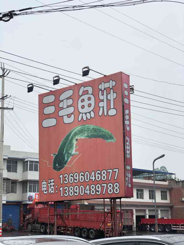 不错,性价比高,生意很好,比较适合赶路的人吃,味道很有特色