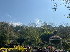 -广州市白云山风景名胜区