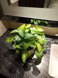 -康美贞·痘肌养护管理中心