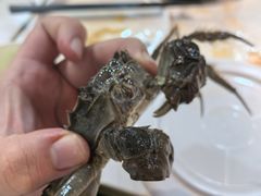 -苏格里岛自助烤肉海鲜火锅(成都金牛万达店)