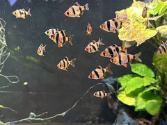 -嘉兴海底世界