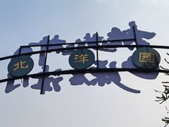 -桃花堤公园