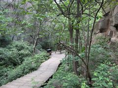 -大岭沟猕猴桃谷风景区