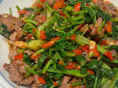 香菜炒牛肉-壹盏灯(蚂蚁工房店)