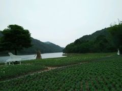 -广州市石门国家森林公园