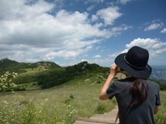 -白草畔自然风景区