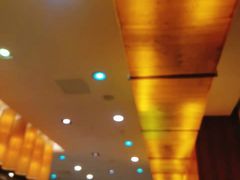 -南京国际会议大酒店