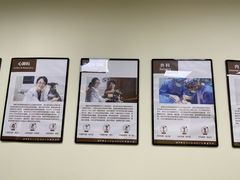 -美联众合动物医院·24h转诊中心
