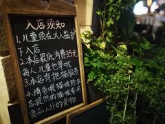 -吉丁鸟咖·异宠·寄养