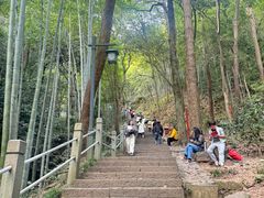 -灵顺寺