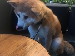 -Moka Bros 摩卡站(嘉华店)