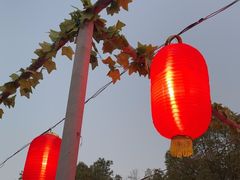 -横店影视城梦幻谷园区