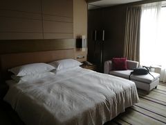 -扬州绿地铂骊酒店