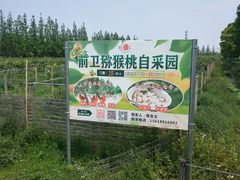 -上海长兴岛郊野公园