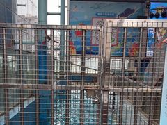 -成都浩海立方海洋公园