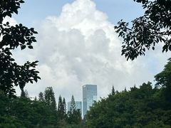 -荔香公园